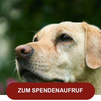Spendenaufruf